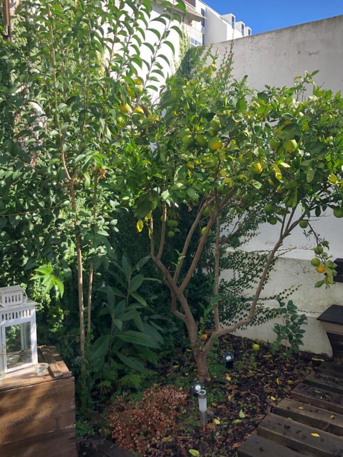 花园公寓 Lisboa 外观 照片